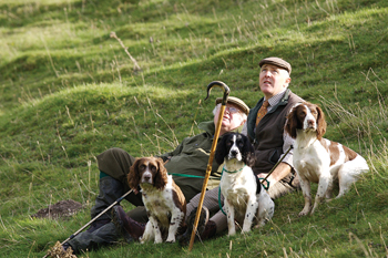 Training a gundog &ndash; the theory and practice