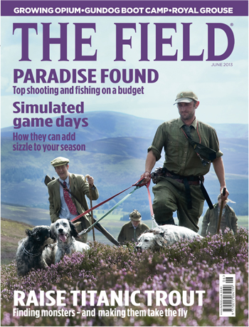 The Field Magazine